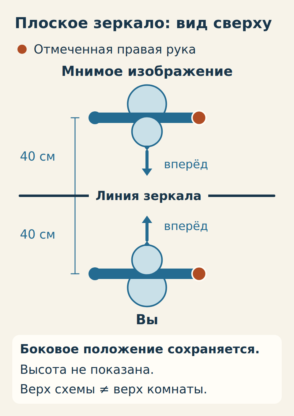 Вид сверху на вертикальное плоское зеркало. Вы и мнимое изображение находятся по разные стороны линии зеркала. Отмеченная правая рука и её образ — на том же боковом месте, по 40 см от зеркала; направления вперёд противоположны. Высота не показана.