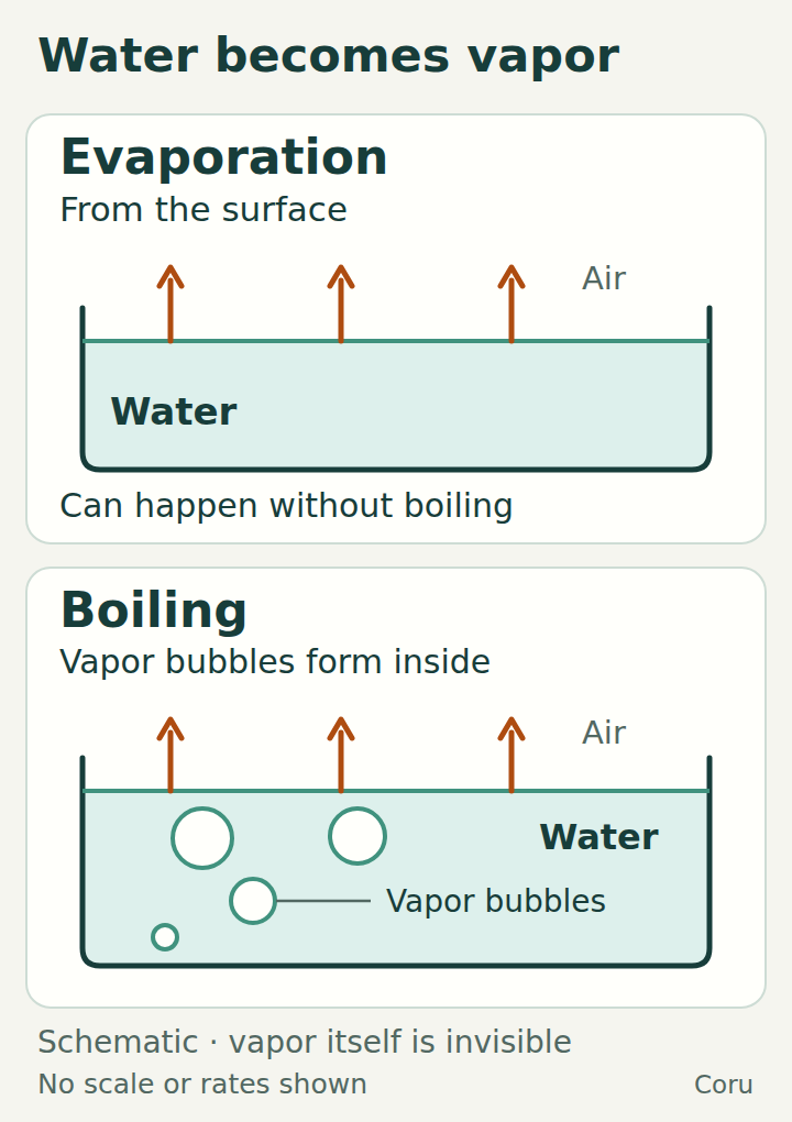 Two schematic water containers: evaporation leaves the surface without boiling; during boiling, water vapor forms bubbles within the liquid.