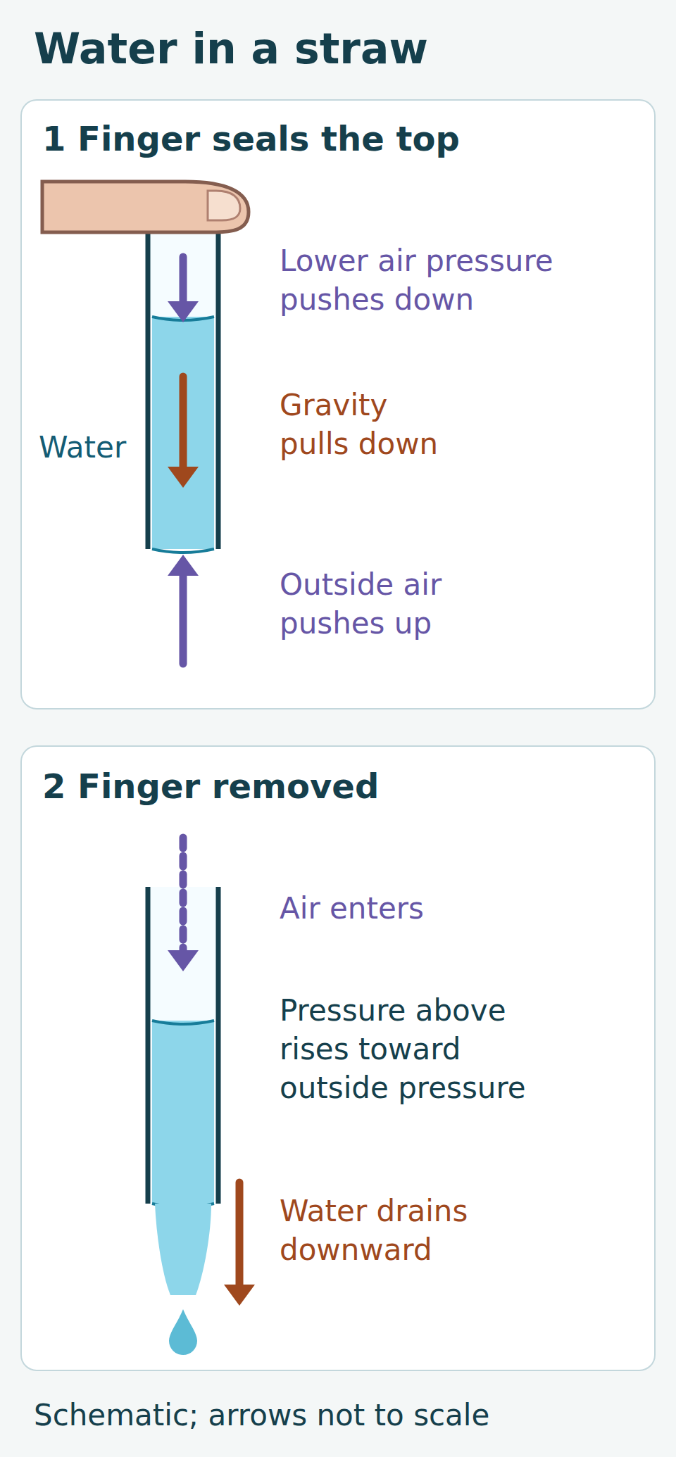 Two panels show a short vertical drinking straw held in air. First, a finger seals the top above a trapped air pocket whose nonzero pressure is lower than outside. Its pressure pushes down on the water, gravity pulls down, and outside air pressure pushes up at the lower opening. Second, the finger is removed, air enters from above, pressure above the water rises toward outside pressure, and water drains downward.